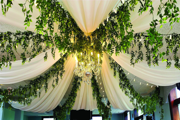 A Ruscus Renaissance